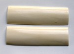 Camel bone scales