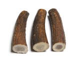 Hirschhornrolle 462